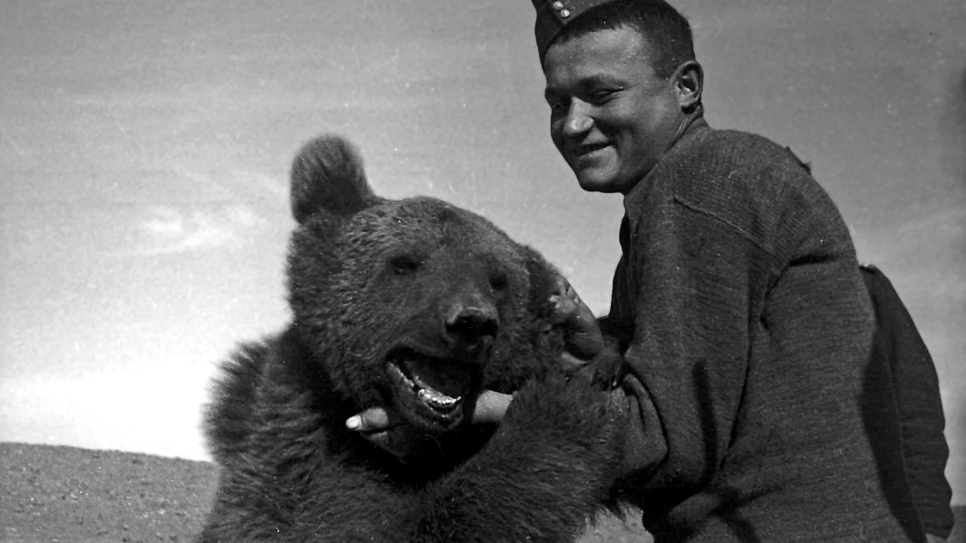 Wojtek the Bear That Went to War (2011) - Will Hood, Adam Lavis | IDFA